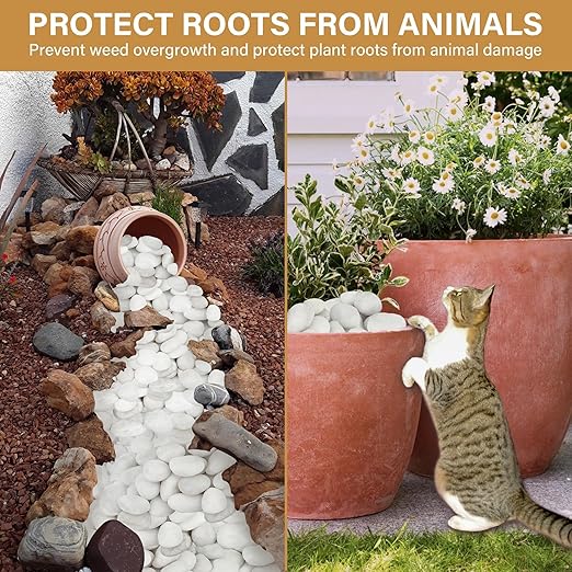 NUPICK 12lb White River Rocks for Plants Indoor, 2-3Inch White Pebbles for Vases Fillers, Decorative Gravel for Fish Tank, Natural Polished Stones for Succulent, Bonsai, Landscaping, Bird Baths