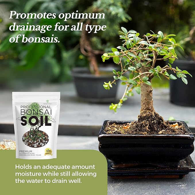 Professional Bonsai Soil Mix Ready to Use | Large 2.2 Quarts, Premium Potting Soil for Bonsai Trees, Fast Draining Blend Lava Limestone Pearock Calcined Clay Pinebark Indoor Outdoor | Made in USA