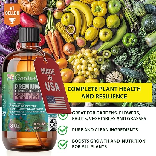 GARDENERA Premium Organic Seaweed & Kelp Superfood for Succulents & Cacti Plants - 32 oz - Liquid Kelp Fertilizer Concentrate (Makes 180 Gallons)