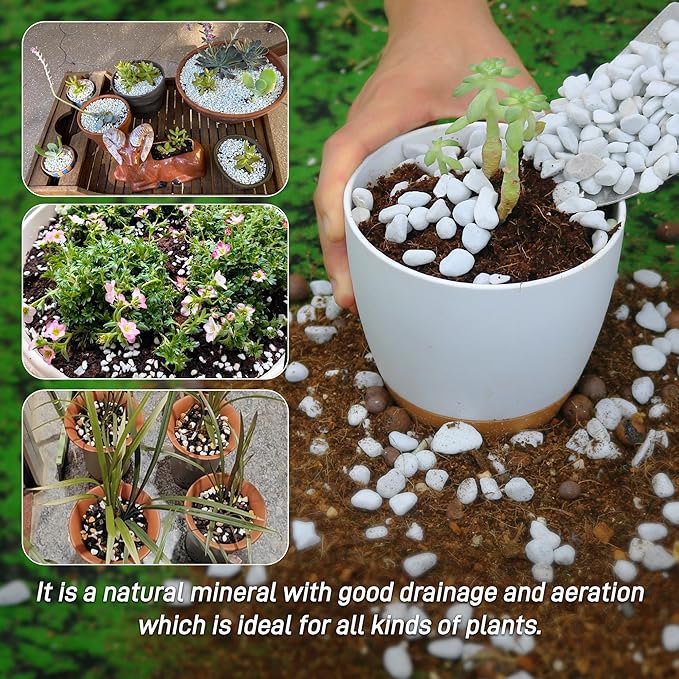 29 Quarts Chunky Perlite for Plant Soil Amendment for Potting Soil, Improves Drainage and Aeration for Soil, Ideal for Succulents, Orchid, Flower Plants (1/4 inch)