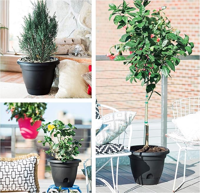 Bloem 010034 LP0842 Lucca Planter, Living Green, 8-Inch, 8"