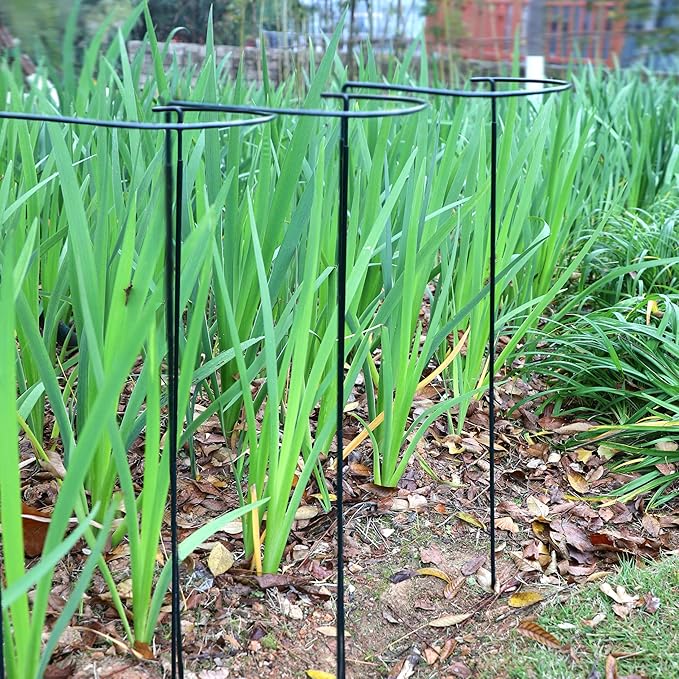 TCBWFY 14" Dx32 H Plant Supports Stakes for Large Heavy Plants,10Pack Peony Supports,Heavy Duty 5mm Wire Peony Cages,Interlock Garden Supports Ring Border Support,Plant Support Cage for Rose Flower