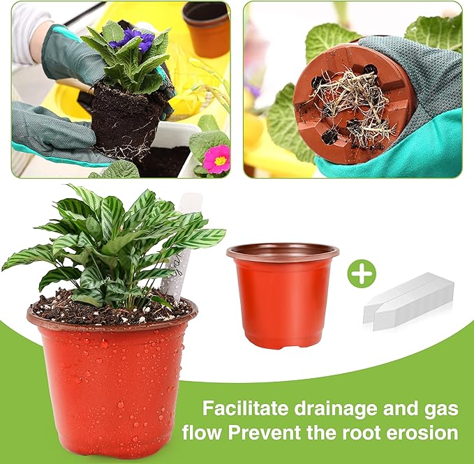 LWWTBS Plant Nursery Pot/Pots 200 Pcs 6" Plastic Plants Pots Flower Pots Seed Starting Pots for Plants Indoor Outdoor Seeding pots (with 200 Plant Labels)
