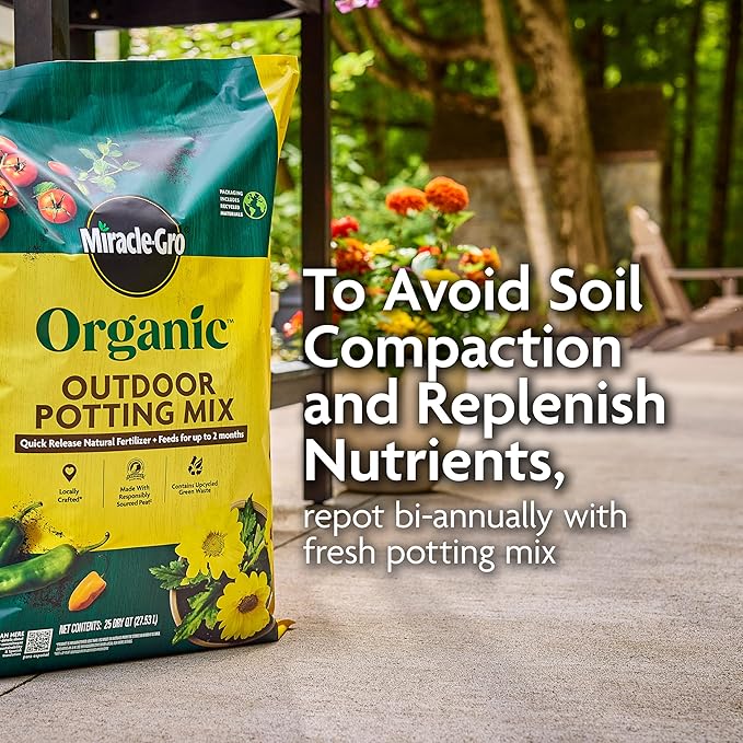 Miracle-Gro Organic Outdoor Potting Mix - Plant Soil for Outdoor Container Plants, Contains Quick-Release Natural Fertilizer, OMRI Listed, 16 qt.