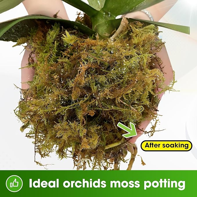 DUSPRO 2.1LBS Dried Moss for Potted Plants, Forest Orchid Moss for Potting Mix, Sphagnum Potting Moss for Plants Indoor, Real Moss Soil Cover for Houseplant