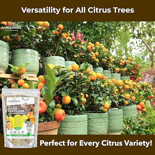 GARDENWISE Professional Citrus Fertilizer + Vital Micronutrients; Perfect Balanced NPK for All Citrus; for Indoor and Outdoor Plants; Orange, Lime, Avocado and Lemon Tree Fertilizer (5 QUARTS)