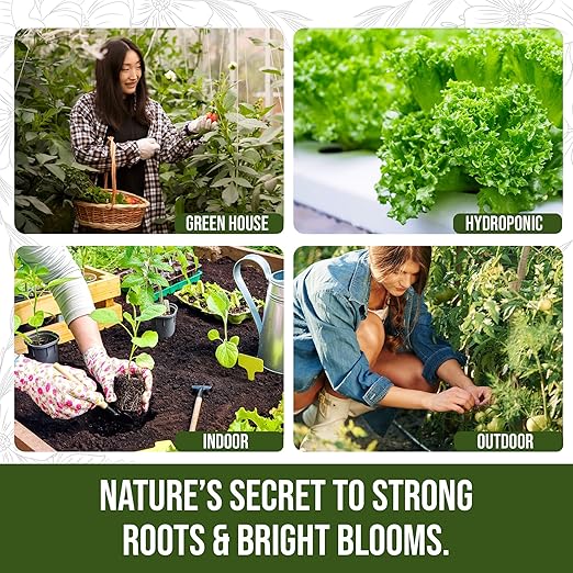 PlantVantage Root & Bloom Liquid Fertilizer – Concentrated Plant Fertilizer for Strong Roots & Bigger Blooms, Liquid Plant Food for Trees, Flowers & Vegetables, Soil or Foliar Application – 1 Gallon