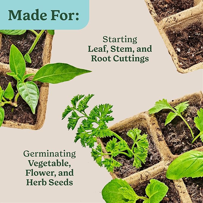 Miracle-Gro Indoor Potting Mix for Seed Starting, For Starting Vegetable, Flower, and Herb Seeds Indoors, Excellent for Cuttings, 8 qt. (2-Pack)