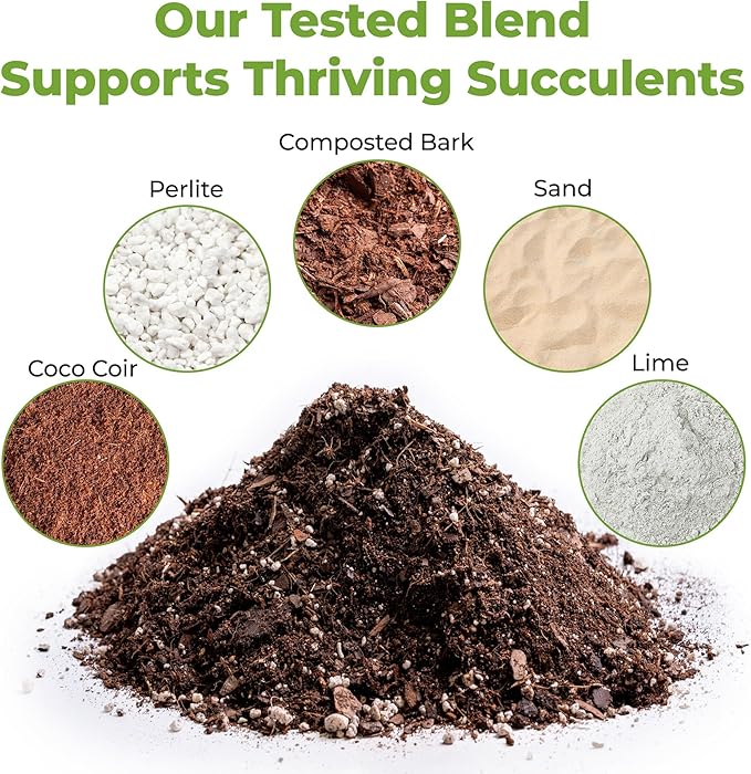 All Natural Succulent and Cactus Soil Mix by Perfect Plants | Made in the USA | 4 Quarts for All Succulent Varieties | Formulated for Proper Drainage