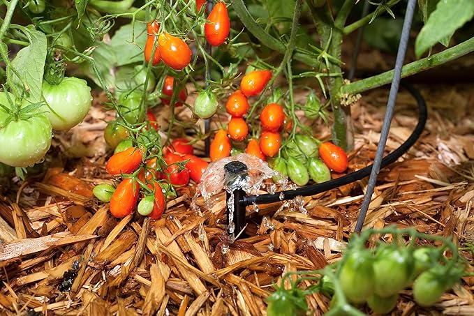 Rain Bird MUF-SPK4S Drip Irrigation Micro-Umbrella Bubbler on Stake, 360° Full Circle Pattern, 0-3' Spray Distance, 4-Pack