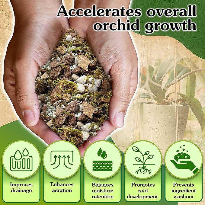 5-in-1 Orchid Potting Mix with Forest Moss, Pine Bark, Perlite, Zeolite, and Pumice – Orchid Soil, Orchid Repotting Kit for Healthy Roots, Fast Drainage, and Support for Growth 1 QRT
