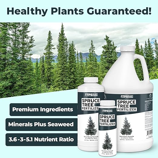 Spruce Tree Fertilizer – Liquid Plant Food for Rich Green Needles, Stronger Roots & Healthy Evergreen Growth, 32 oz