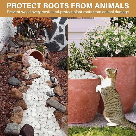 NUPICK 45lb White River Rocks for Outdoor Landscaping, 1-2 Inch Pebbles for Indoor Plants, Natural Polished Aquarium Gravel, Decorative Rocks for Succulent, Garden, Vases Fillers, Bird Baths