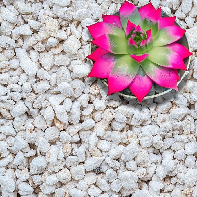 GARDENWISE Perlite for Plants, Extra Coarse Grade 4 Horticultural Perlite, Organic Perlite for Gardening Indoor & Outdoor, Made in USA (5 quarts)