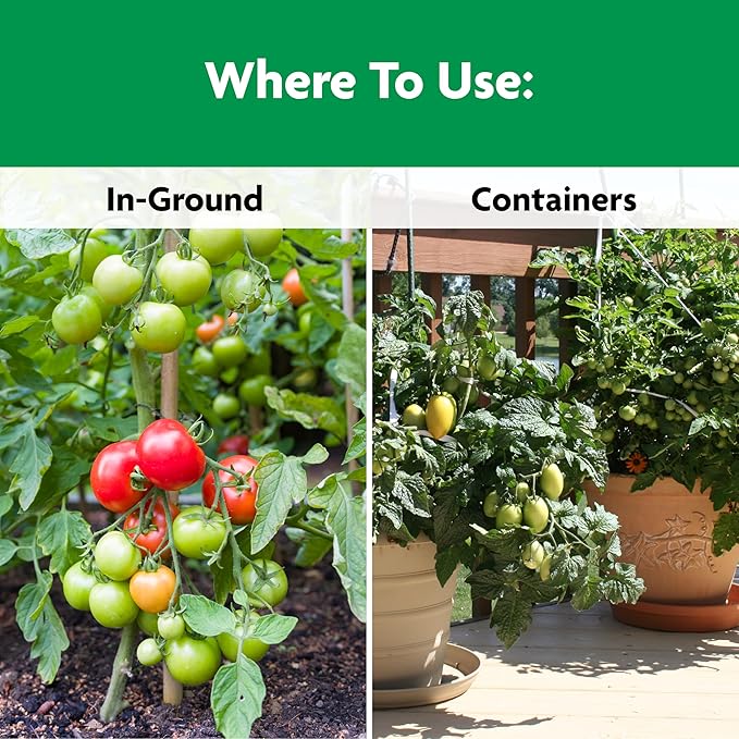 Miracle-Gro Shake 'N Feed Tomato, Fruit and Vegetable Plant Food - Fertilizer for Vegetable Gardens, for In-Ground and Container Plants, Feeds up to 3 Months, 4.5 lb.