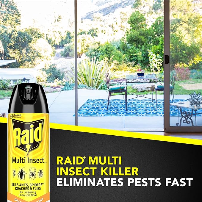 Raid Multi Insect Killer, Orange Breeze 15 Ounce (Pack of 1)
