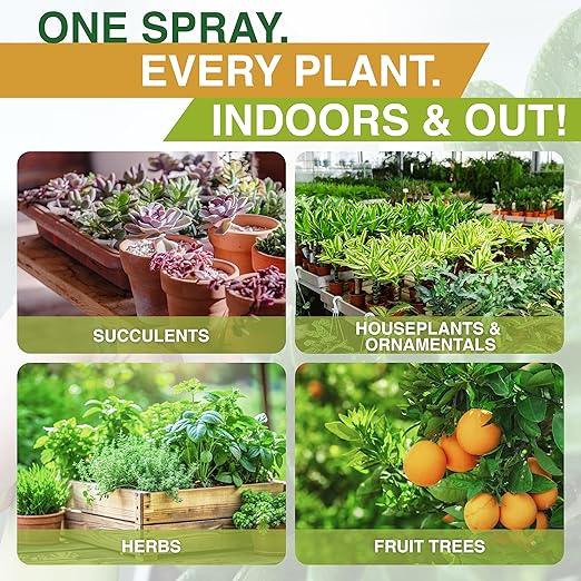 Nani’s Neem Oil Spray for Plants with SnapSpray (1 Gallon) - Ready-to-Use, Made from 100% Cold-Pressed Organic Neem Oil for Plants - Indoor & Outdoor Use for Healthier Horticultural Growth
