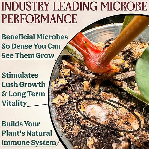 Complete Organic Cactus & Succulent Fertilizer, Succulent Plant Food & Cactus Food, Bonsai, Snake Plant Fertilizer, 7 Servings Fast & Slow Release Feeds up to 28 Plants 8 Months
