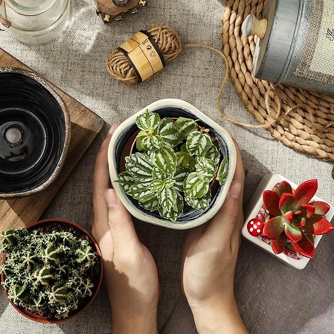 Modern Irregular Ceramic Planter Set of 2-4+6 Inch Unique Reactive Glaze Flower Pots with Drainage Holes & Saucers - Indoor Outdoor Decorative Succulent Orchid Pots, Light Green