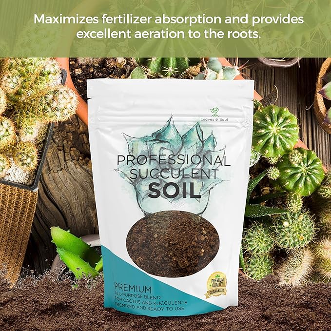 Professional Succulent Soil Mix Ready to Use Extra Large 8.2 Quarts, Premium Potting Soil for Succulents and Cactus, Fast Draining Blend Canadian Peat Coarse Sand Pinebark Indoor Made in USA