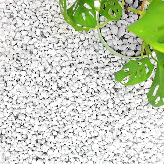 29 Quarts Chunky Perlite for Plant Soil Amendment for Potting Soil, Improves Drainage and Aeration for Soil, Ideal for Succulents, Orchid, Flower Plants (1/4 inch)