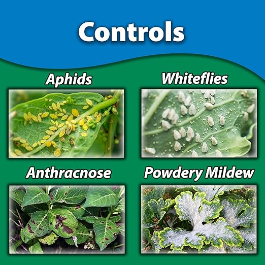 Monterey Fruit Tree Spray Plus for Control of Insects, Diseases, and Mites - Organic Gardening OMRI Listed, Contains Neem Oil and Pyrethrins, Bundled with Garden Measure Spoon - 16 oz