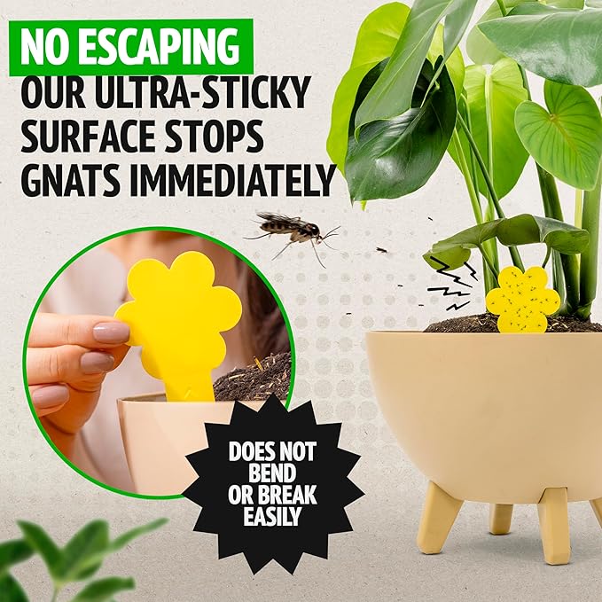Super Ninja Fungus Gnat Traps - 60 Pack, Highly Effective Gnat Traps for House Indoor, Yellow Sticky Trap for Plants, Non-Toxic & Nature-Friendly, Up to 3 Months