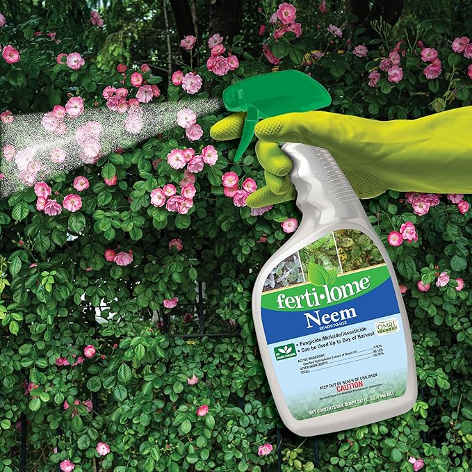 Fertilome (16096) Neem Oil Ready to Use Insecticide, Controls Aphids, Spider Mites, Scale and Beetles, OMRI Listed (32 oz)