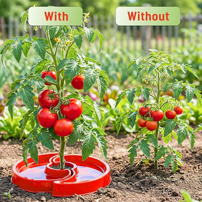 4 Sets Tomato Watering Ring, Aqua-Direct Red Tomato Halo for Vegetable Direct Root Irrigation, Cuts Runoff, Promotes Vigorous Plant Growth | Rapid-Stake Mount