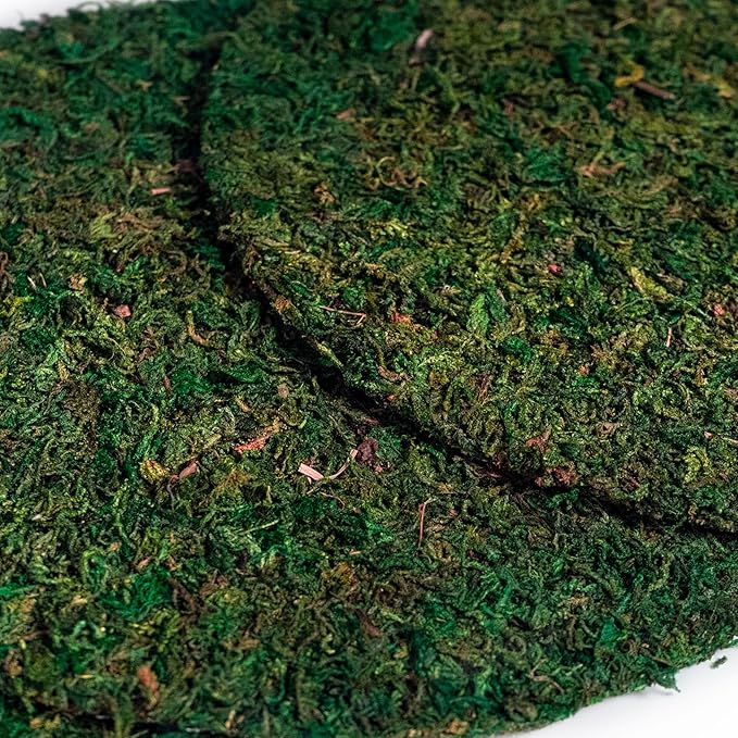 SuperMoss Topper Preserved Green Mountain Moss with Mesh Backing | Indoor Plant Cover for Flowerpots, Orchid Pots, Succulent Soil, Terrariums, and Craft Décor, 3 Count