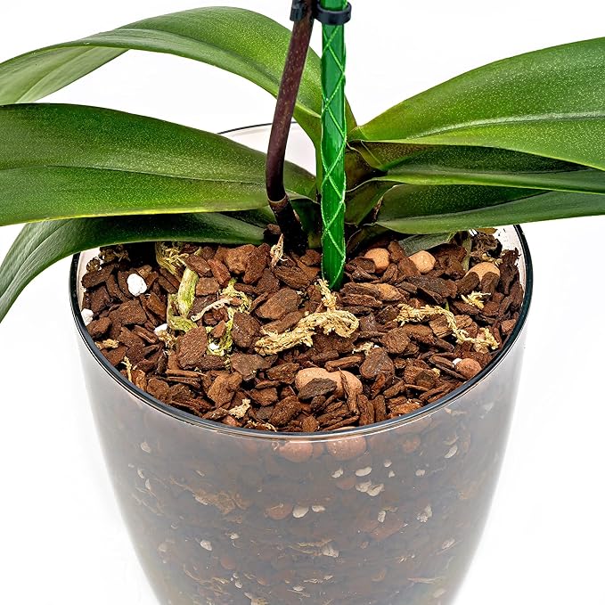 Organic Premium Orchid Soil Mix by Gardenera - Hand Mixed Classic Sphagnum Moss Potting Soil Mix - for Phalaenopsis Orchid - 1 Quart - Made in USA
