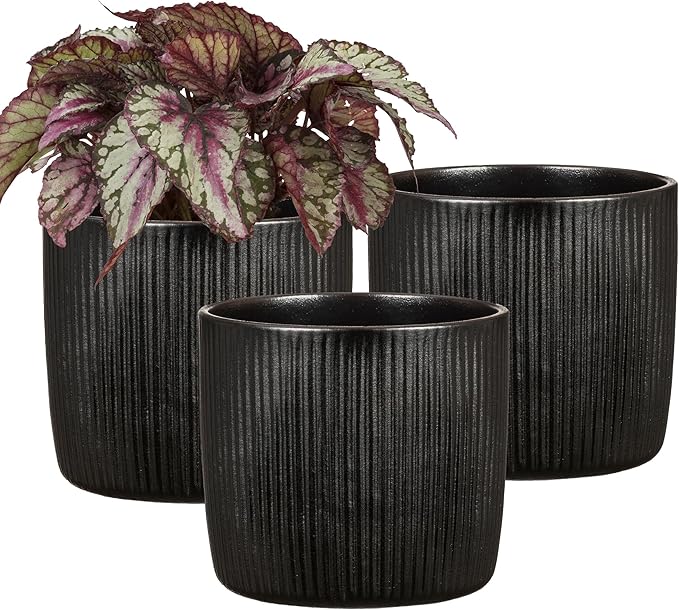 Scheurich Set of 3 Solido Linea Ebano Ceramic Planters – 5" Decorative Pots for Indoor Plants - Waterproof&UV-Resistant - Elegant Relief Texture - Made in Germany, Modern Home&Office Decor - 0.3 gl