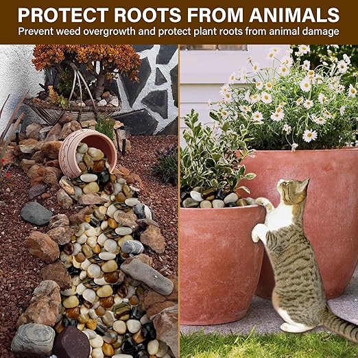 NUPICK 6lb River Rocks for Plants Indoor, 2-3Inch Mixed Pebbles for Vases Fillers, Decorative Gravel for Fish Tank, Natural Polished Stones for Succulent, Bonsai, Landscaping, Bird Baths