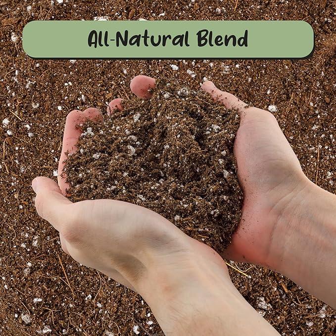 Soil Sunrise Desert Rose Potting Soil Mix (8 Quarts) Hand Blended Small Batch Soil Blend for Desert Rose Plant