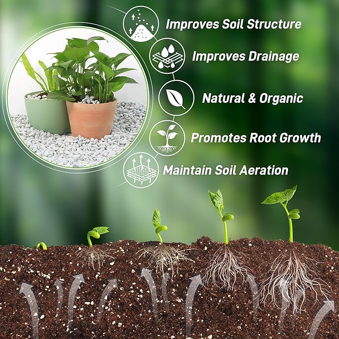 18 Quarts Chunky Perlite for Plant Soil Amendment for Potting Soil, Improves Drainage and Aeration for Soil, Ideal for Succulents, Orchid, Flower Plants (1/4 inch)