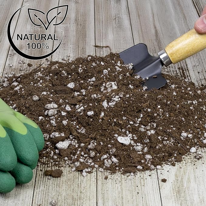 Soil Sunrise Olive Tree Potting Soil Mix (12 Quarts) for Planting, Repotting, and Growing Olive Bushes/Plants