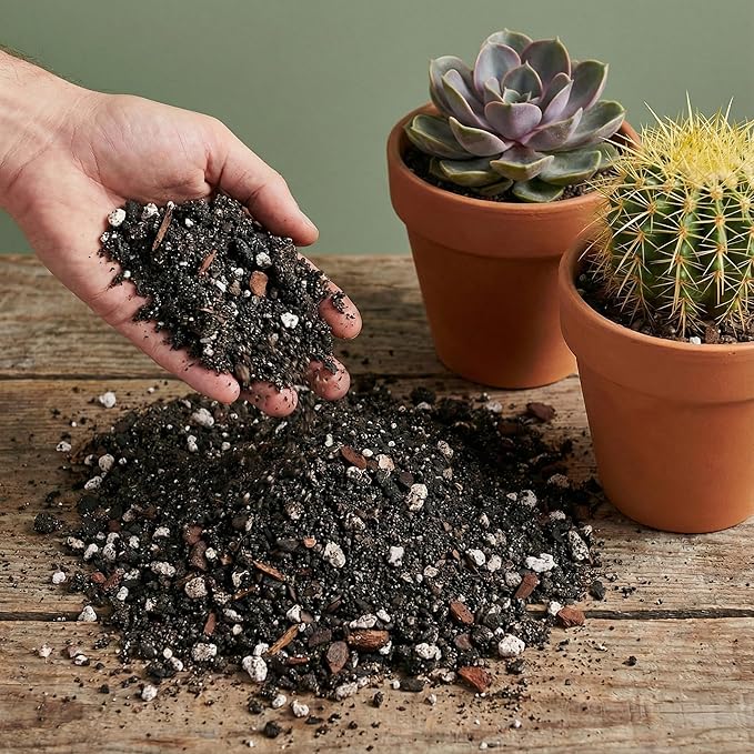 The Soil Sage 5 Dry Qt Cactus & Succulent Potting Soil Mix, USA Made - Gritty, Fast Draining, Soilless, Root Boosting, Peat-Free - Growth of Cactus, Succulents, Jade, Aloe Vera (5 Qt)