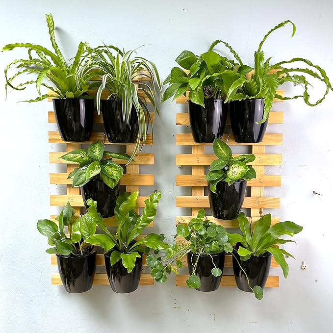 LaLaGreen Wall Planters for Indoor Plants - 10 Pack, 5 Inch Black Self Watering Wall Planter, Eco Wall Mounted Planters System Living Hanging Wall Pots Holder Trendy Live Wall Garden Indoor for Herb