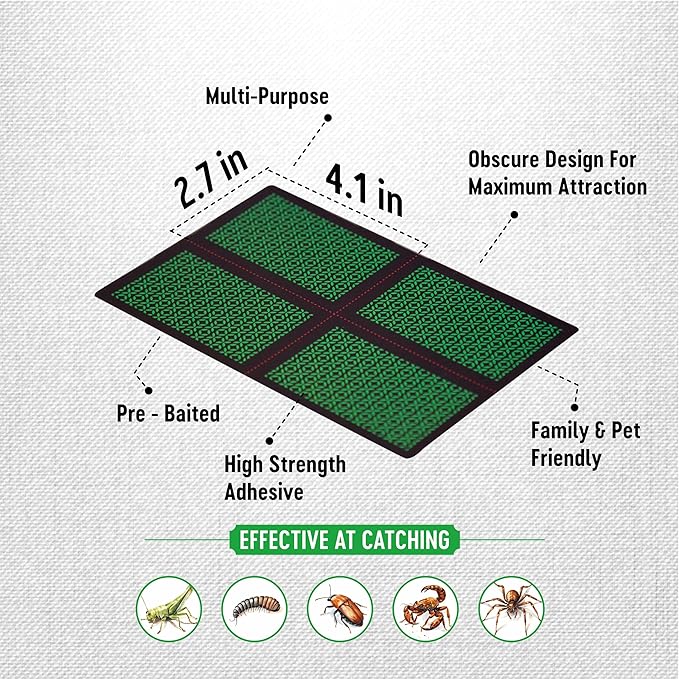 Catcher Labs Mini Insect Traps (48 Traps) | Extra Sticky Pre-Baited Glue Boards, Trap & Kill Most Crawling Insects and Bugs