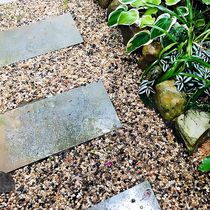 FANTIAN Poilished Fish Tank Gravel, 3/8 Inch Pebbles for Indoor Plants, Decorative Stones River Rocks for Succulent Soil Cover, Cactus, Aquarium, Vase Filler and Outdoor Garden Landscaping