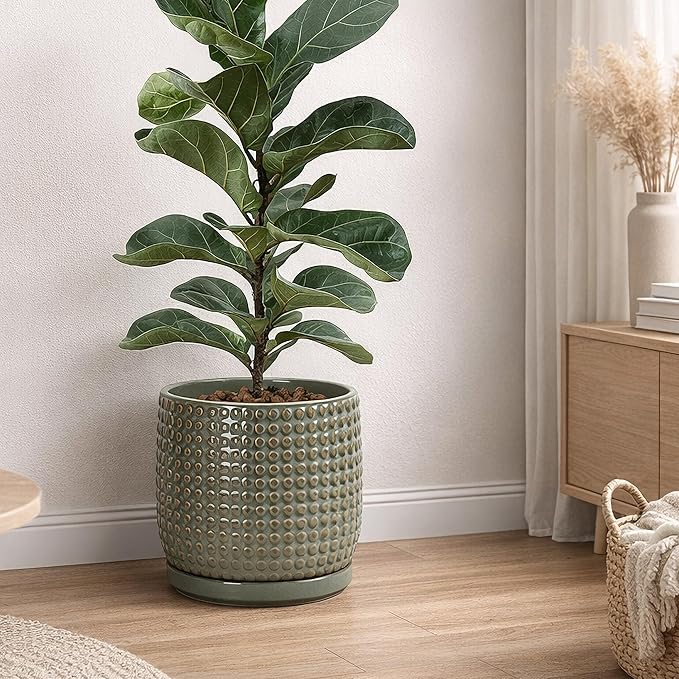 D'vine Dev 10 Inch Ceramic Beaded Stoneware Planter Pot - Flower Pot with Drainage Holes and Saucers for Indoor Succulent Plants or Flowers, Olive, 27-C-P-0