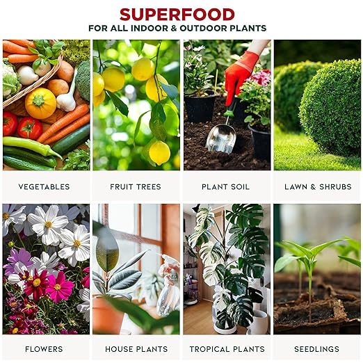 GARDENERA Premium Organic Seaweed & Kelp Superfood for Dracaena Plants - 8 oz - Liquid Kelp Fertilizer Concentrate (Makes 45 Gallons)