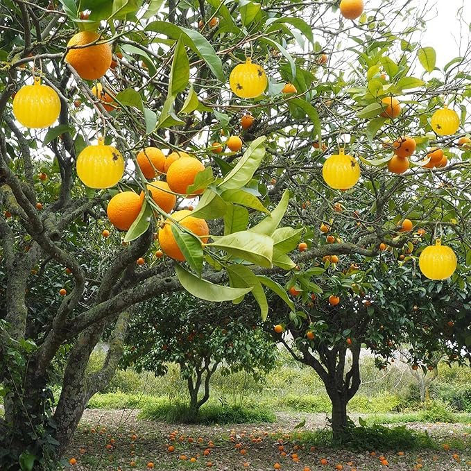 Qualirey 10 Set Sticky Fruit Fly Trap Balls Yellow Adhesive Fungus Gnat Sticky Balls for Plants Fly Catching Sticky Balls Indoor Outdoor Garden Kitchen Fly Gnat Flying Insects Trap Ball Traps