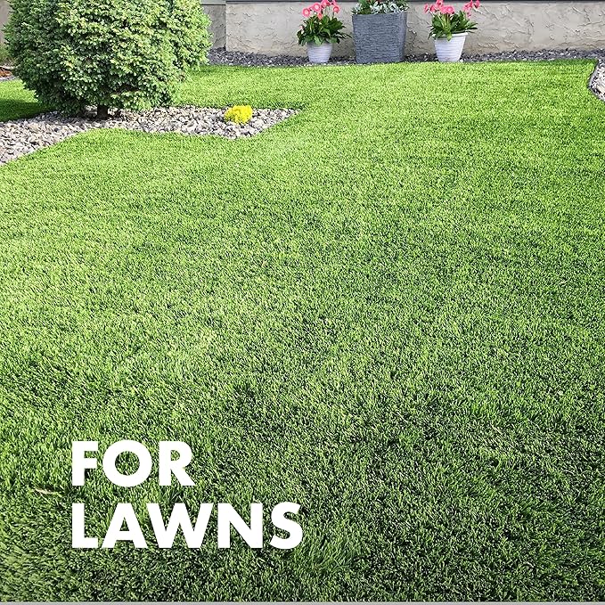 Spectracide Immunox Fungus Plus Insect Control For Lawns 32 Ounces, Dual Action, Hose-End Concentrate