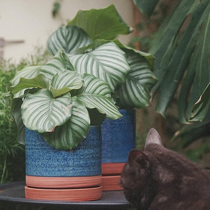 HERDUK 6 + 8 Inch Plant Pots, Ceramic Planter Pot with Drainage Hole & Saucer, Indoor/Outdoor Cylinder Round Planter Pot, Aqua Blue & Terracotta