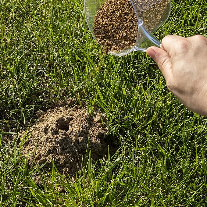 Spectracide Fire Ant Shield Mound Destroyer Granules 7 Pounds, Kills The Queen And Colony, 4 Pack