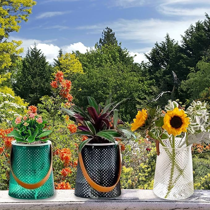 Self Watering Planters 5.9 Inch Self Watering Pots for Indoor Plants, African Violet Pots with Wick Rope, Flowers, Succulents, Herb, House Plants (Green)