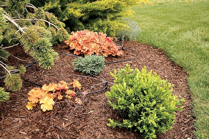 Rain Bird MBH4PKS Drip Irrigation Micro-Bubbler on Stake, 180° Half Circle Pattern, 0-3' Spray Distance, 4-Pack