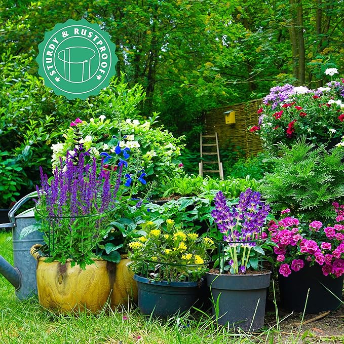 EWPJDK Plant Supports Stakes 6PCS, Half Round Metal Garden Stakes Plant Support for Peony Cages and Supports,Green Plant Support Ring Border for Outdoor Indoor Plants (10" W x 16" H, 6 PCS)